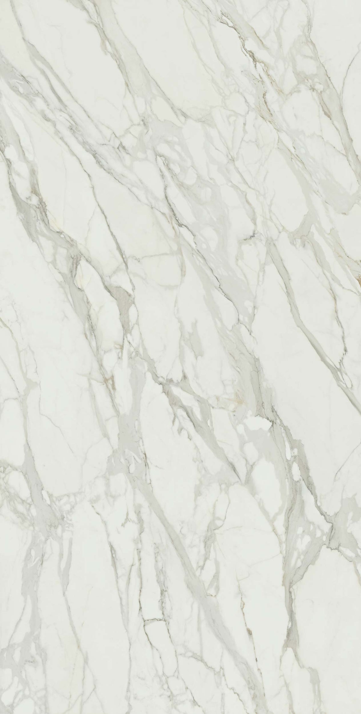 Porcelain tile marble look Calacatta Splendido MOSAICO ESAGONI 26x30 cm