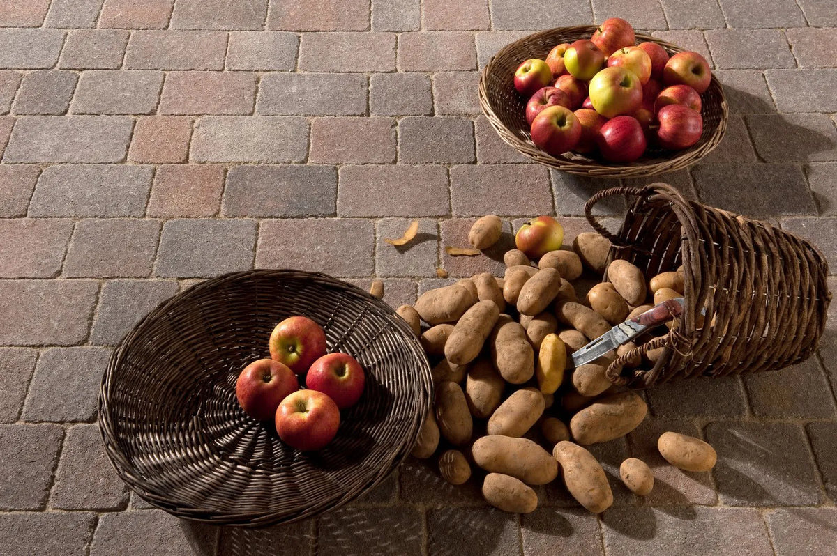 Castrum Antik tumbled paving, laid terrace - Leier