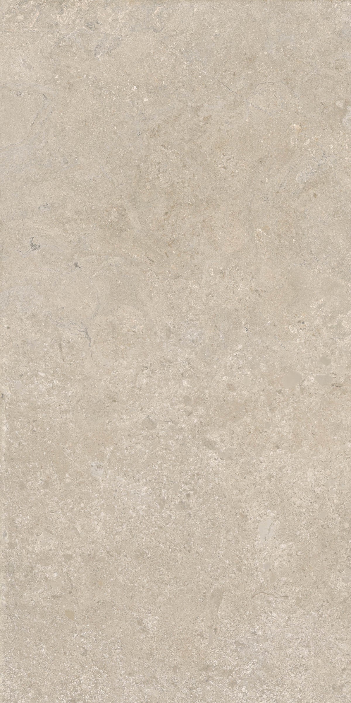 Porcelain tile stone look Heritage Cedar 120x280 cm