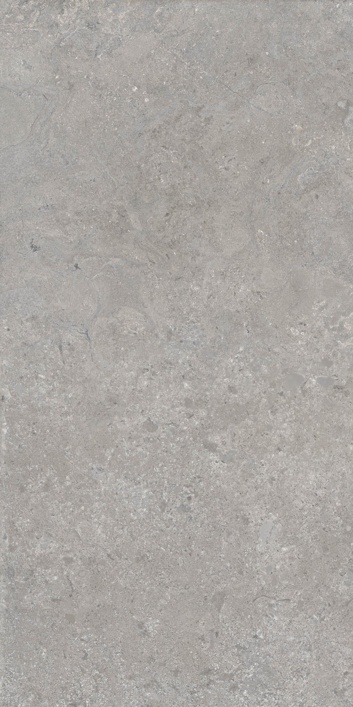 Porcelain tile stone look Heritage Powder 120x280 cm
