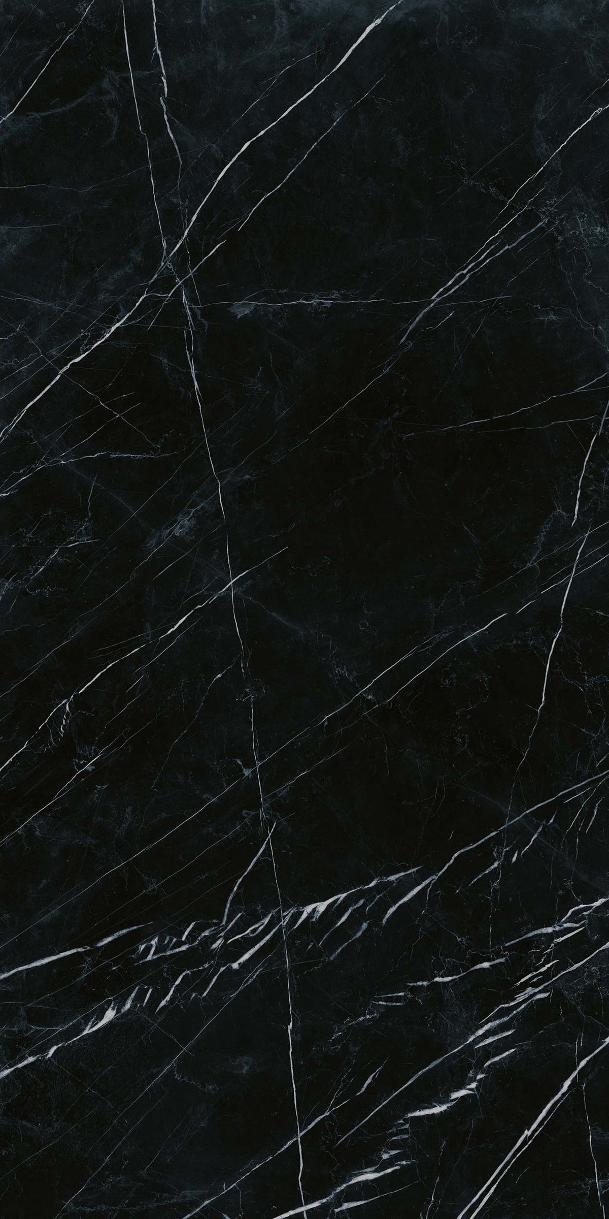 Porcelain tile marble look Imperial Marquiña Black 60x120 cm