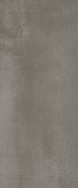 Dimgray