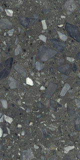Bold Anthracite