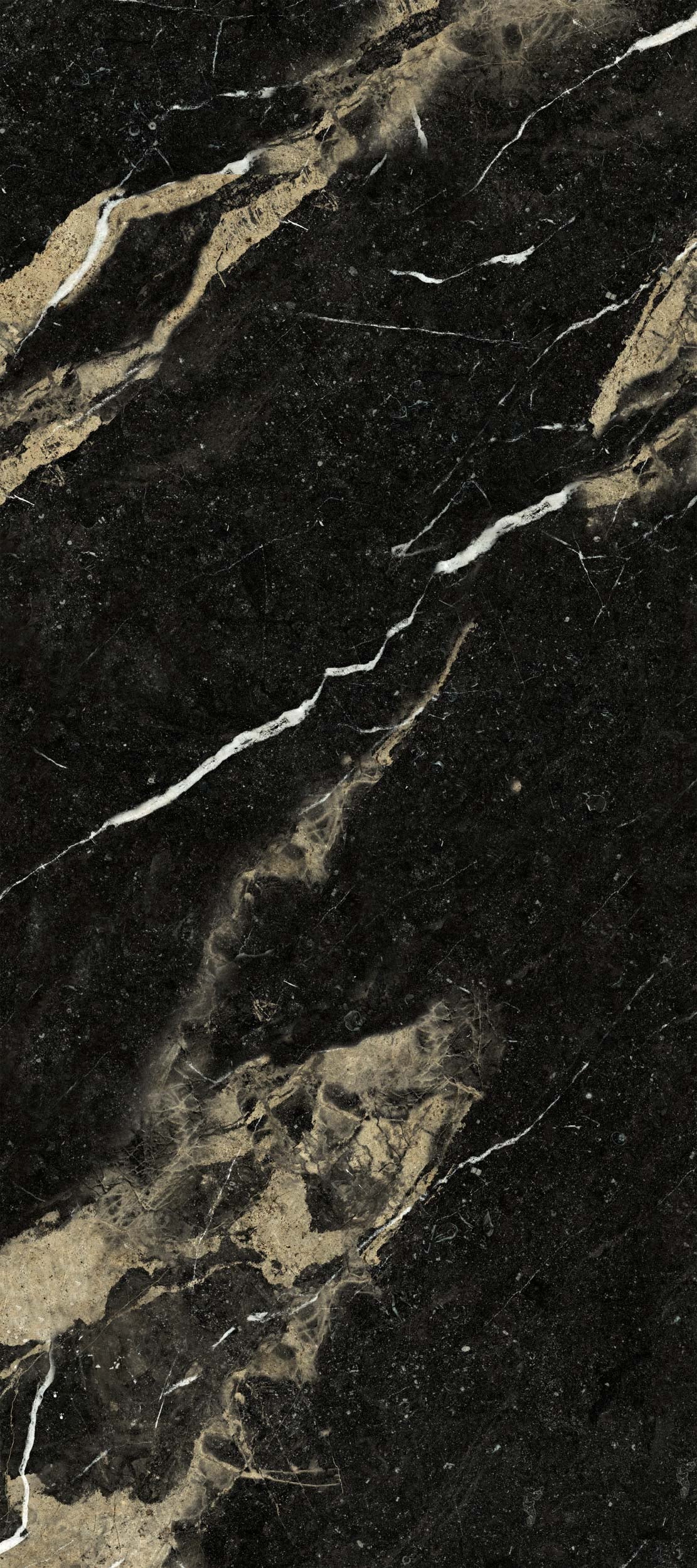 Porcelain tile marble look Pierre Black 120x280 cm