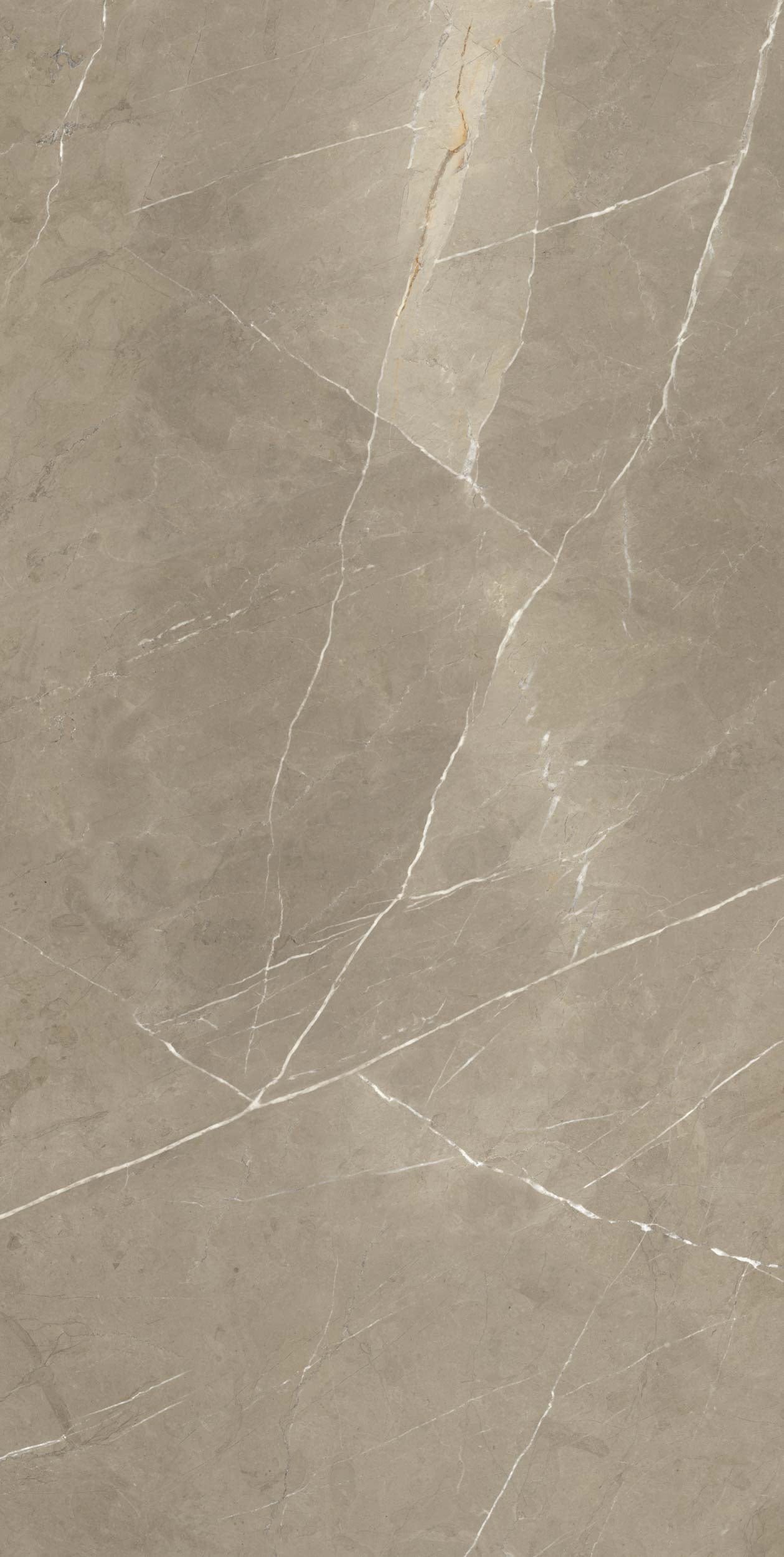 Porcelain tile marble look Pietragrey White