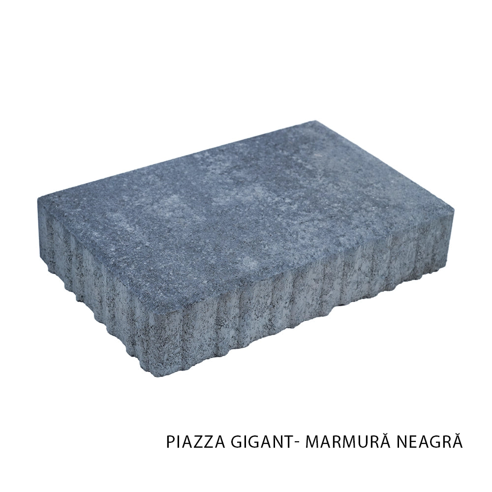 Pavele Piazza Gigant - Leier