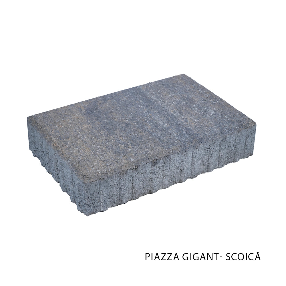 Pavele Piazza Gigant - Leier