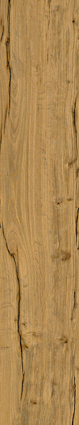 Pecan