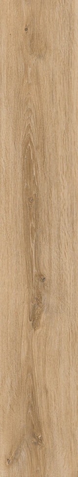 Oak
