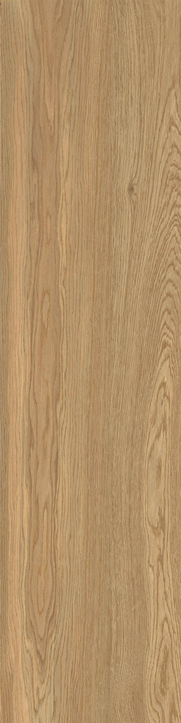 Porcelain tile wood look Woodwise Auburn BATTISCOPA 6,5x120 cm