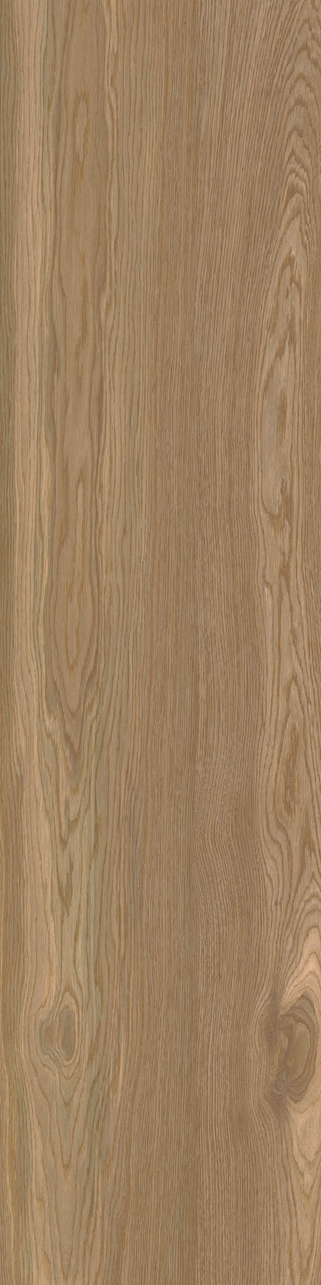 Porcelain tile wood look Woodwise Brandy BATTISCOPA 6,5x120 cm