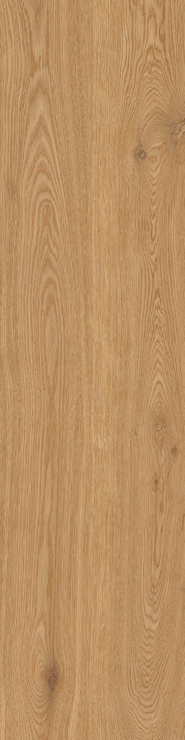 Porcelain tile wood look Woodwise Caramel BATTISCOPA 6,5x120 cm
