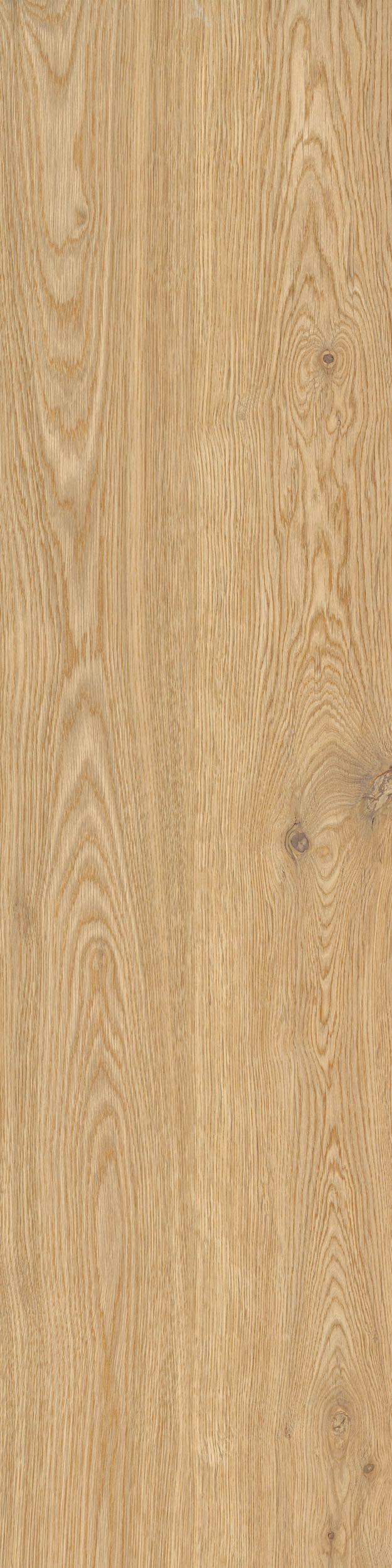Porcelain tile wood look Woodwise Cedar BATTISCOPA 6,5x120 cm