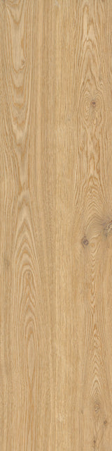Cedar